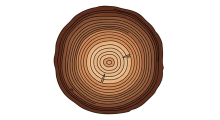 Tree trunk cross section, wood rings