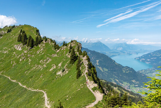 Scenic circular path at Schynige Platte with a magnificent view on lake Thun