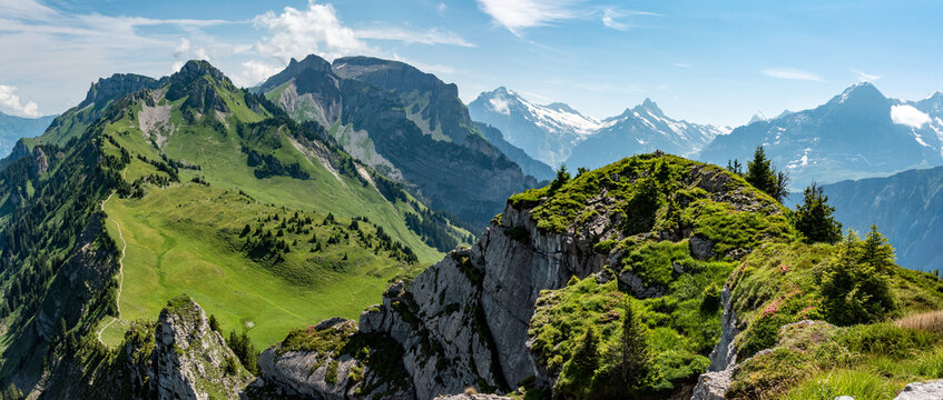 Famous alpine pasture Schynige Platte with a magnificent view on the Alps