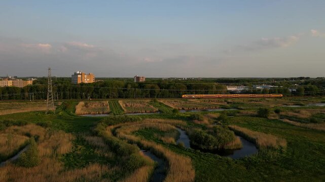 Yellow train traveling through a lush dutch polder landscape at sunset