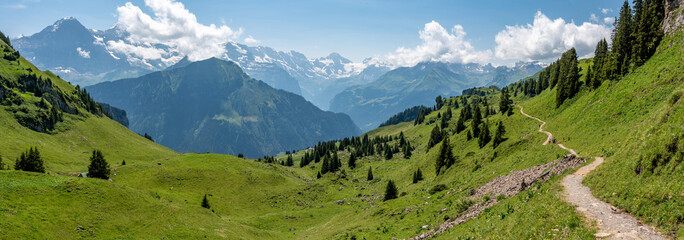 Famous Alpine Pasture Schynige Platte