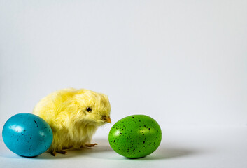 little yellow chick with blue and green Easter eggs on white background