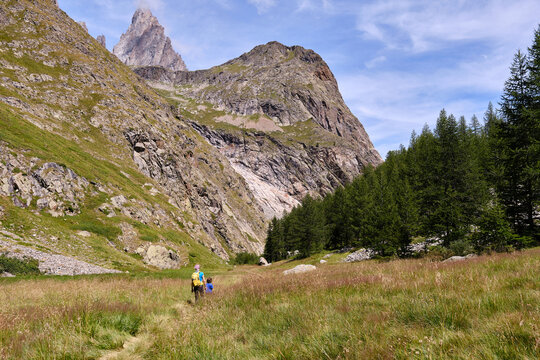 Family walking through a meadow in the Aosta Valley