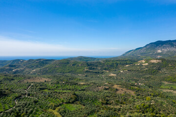 Fototapeta premium Wide aerial view of lush olive groves and rolling hills stretching toward the distant sea in the Greek countryside. Clear blue sky and layered mountain slopes create a tranquil Mediterranean landscape