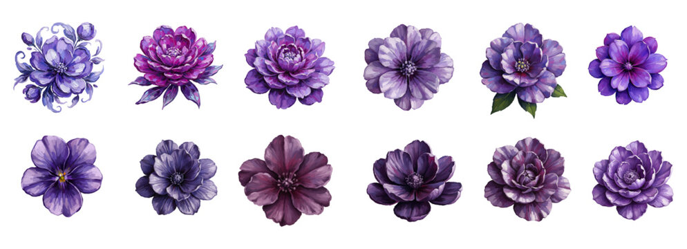 Elegant purple blossom oil brush vector illustration with rich layered paint texture and detailed botanical petals for luxury branding, wedding invitations, wall art prints, packaging design - Vector 