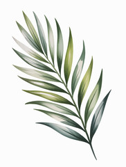 Fototapeta premium Watercolor palm leaf illustration isolated on white. Tropical greenery palm frond isolated in watercolor.