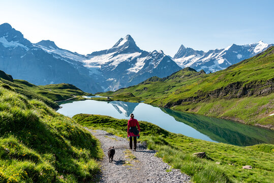 A woman and her dog on a hike in the Swiss alps, mount Jungfrau in the background