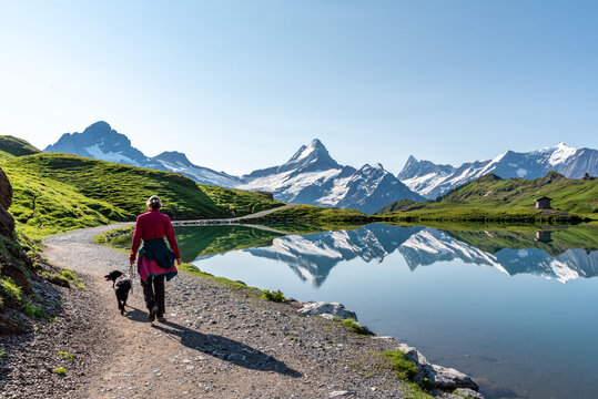 A woman and her dog on a hike in the Swiss alps, mount Jungfrau in the background