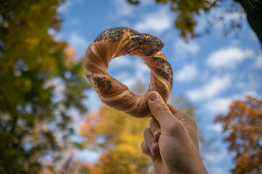Human Male Hand Holding Obwarzanek Krakowski in Poland. Shallow Depth of Field of Baked Circle Bread with Poppy Seeds and Blue Sky Autumnal Background.