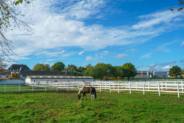 Wide view of a professional horse riding facility featuring a large white stable building equipped