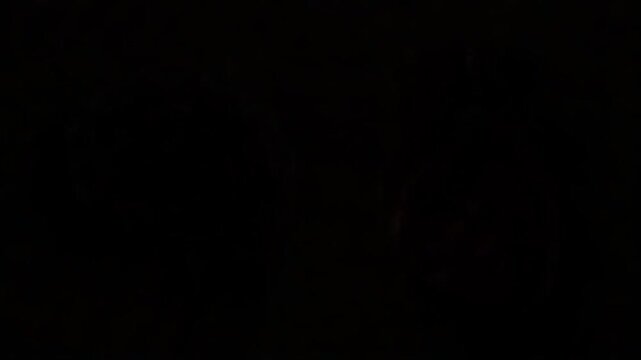 Human Brain and Heart Facing Each Other &ndash; Emotional Intelligence Concept, Balance Between Logic and Feeling, Detailed Medical Illustration