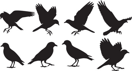 Obraz premium Black silhouettes of birds in various poses on white background flying