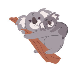 Cute koala family on branch © wooster