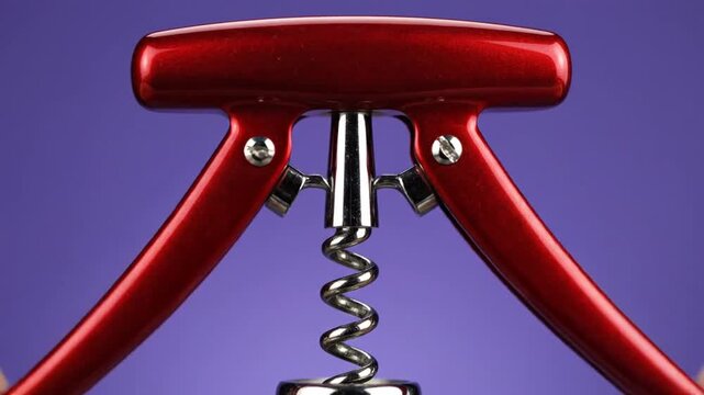 Red Winged Corkscrew Against a Purple Background, Close-Up Shot.