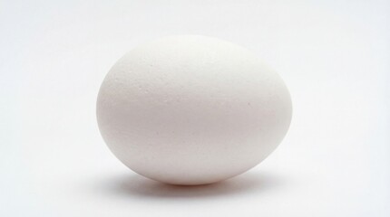 White egg on white background
