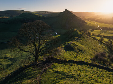 Aerial view of a solitary tree standing guard over the undulating, sun-kissed green hills leading towards the iconic Dragon's Back ridge, Peak District National Park, United Kingdom.