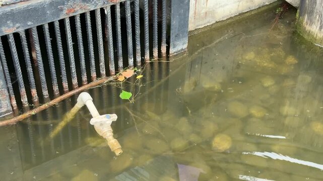 Rusty grate above pond drain, murky water swirling around exposed valve and submerged stones, small green leaf floating near grid, concrete embankment and metal pipe visible, subtle ripples.
