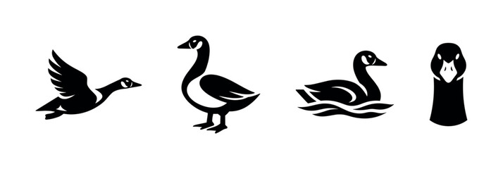 Naklejka premium Adobe Illustrator Artwork