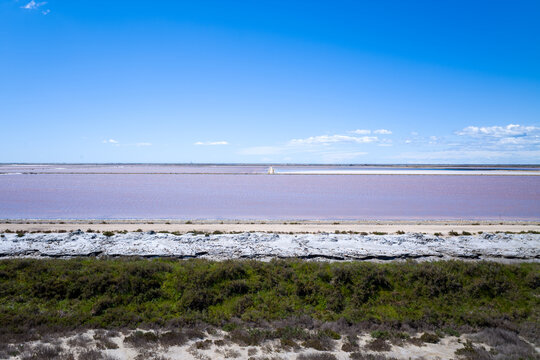 Expansive view of a vivid pink salt pond in the Camargue, bordered by white mineral deposits and green marsh vegetation beneath a bright, cloud-dotted sky.