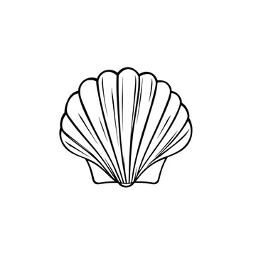Sand gaper Sea Shell isolated on a transparent. Vector illustration in outline style. For cards, logo, decorations, invitations