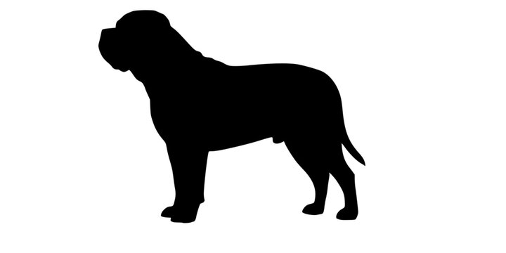 Bullmastiff dog silhouette, Bullmastiff dog, Bull mastiff silhouettes, Dog silhouettes, Bullmastiff clip art
