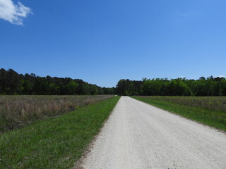Fototapeta premium Visitors can experience a beautiful drive through the wilderness of the Santee National Wildlife Refuge, Clarendon County, South Carolina.
