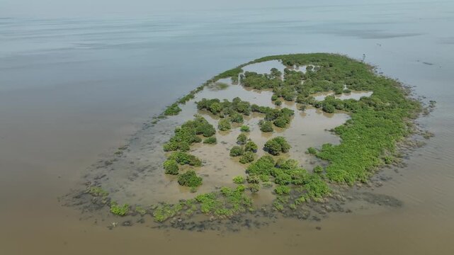 Flooded island with trees in Tonle Sap Lake 