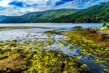 Seaweed Tidal Flats Eilean Donan Lochs Scottish Highlands Scotland © Bill Perry