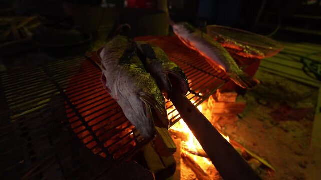 Fresh fish grilling over open wood fire