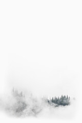 White-Out In The Alps