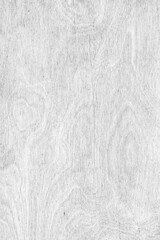 Obraz premium White color painted wooden texture with vertical natural grain pattern and smooth plywood surface. Rustic wallpaper, background, design element, backdrop