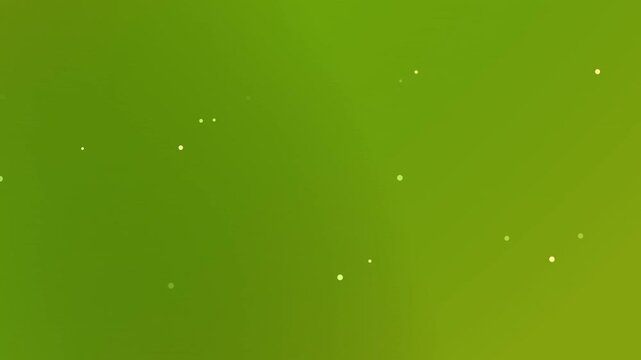 the effect of grains of light or small stars shining softly. This design gives a fresh, modern and artistic impression, suitable for use as a green screen video background, p