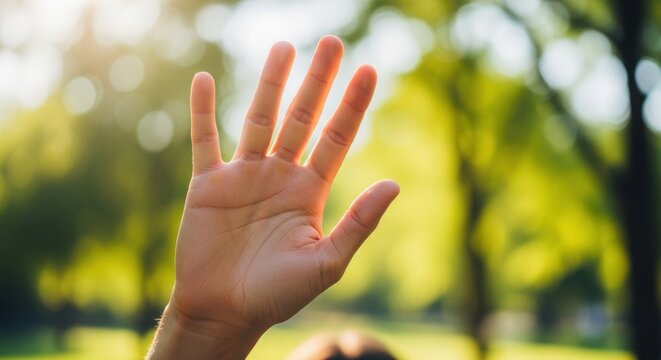 Open palm raised in sunlight in a green park, stop or greeting gesture, close-up