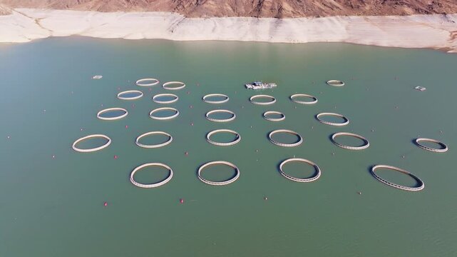Aerial view reveals fish farm pens and a boat on a vast Orto Tokoy Reservoir in Kyrgyzstan. Red buoys float peacefully, highlighting industrial serenity in daytime.
