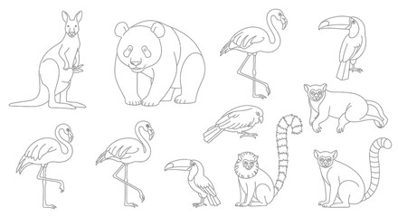Fototapeta premium Collection of Australian Animals.
