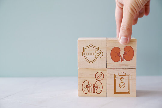 Hands holding wooden blocks with health icons, urology, kidney, world kidney day, organ donation, health insurance concept
