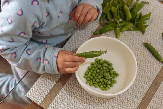 Peque&ntilde;a colaborando en la preparaci&oacute;n de alimentos mientras desgrana arvejas frescas sobre la mesa.