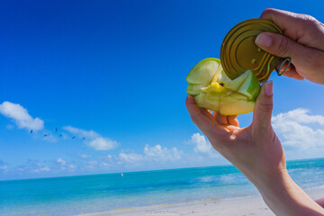 A person is holding a can of fruit, possibly a green apple, on a beach