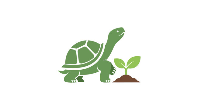 Turtle next to green small plant.