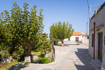 Obraz premium Quiet stone-paved street lined with lush green trees and traditional village houses in Argiroupoli, Crete. Bright daylight casts crisp shadows, creating a serene and welcoming rural scene.