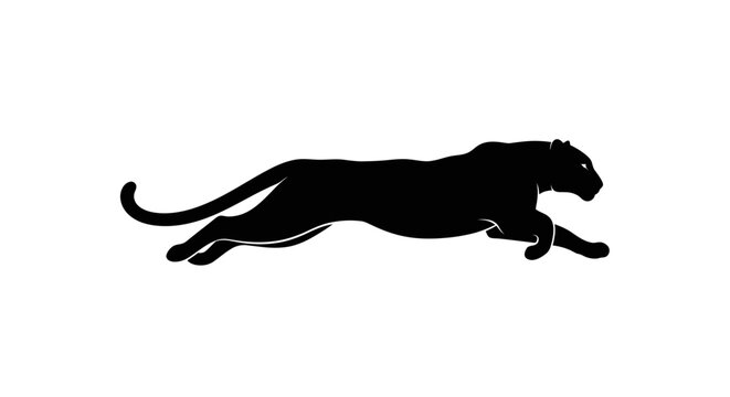 Silhouette of a Pantera Leo in Motion on White Background