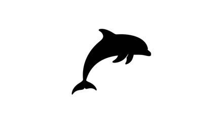 Naklejka premium Dolphin Jumping Out of Water in Playful Motion