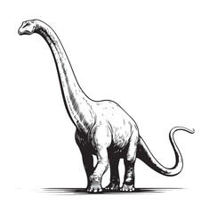 brontosaurus vector