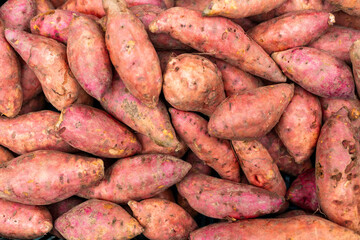 Ipomoea batatas - Detail of freshly harvested raw sweet potatoes, with a rustic and organic appearance, used in gastronomy, nutrition, and agricultural products.