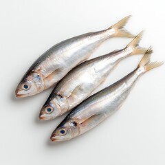 Fresh whole fish on white background ready for preparation and cooking in kitchen