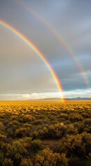 Fototapeta premium Golden Landscape Under a Vibrant Double Rainbow After the Rain.
