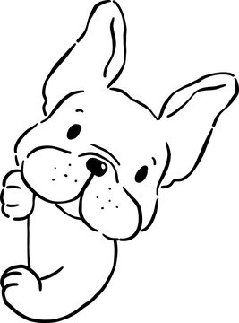 Cute French Bulldog Peeking outline Hand Drawn
