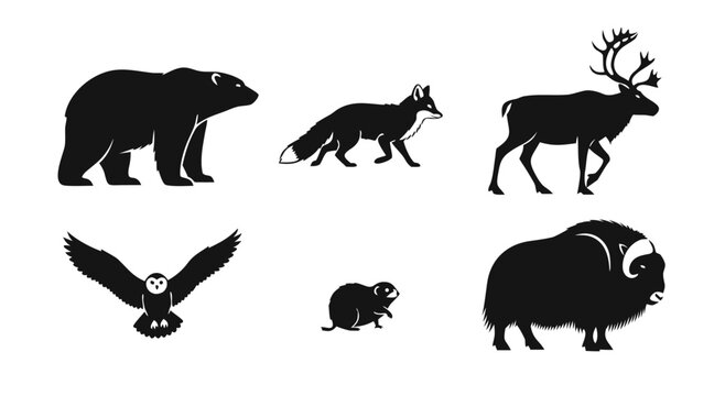 Black and white silhouette illustration of a collection of arctic animals including a polar bear arctic fox reindeer snowy owl lemming and muskox