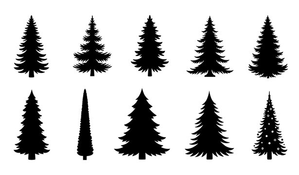 Christmas tree silhouette set vector black pine fir spruce decorations isolated on transparent background