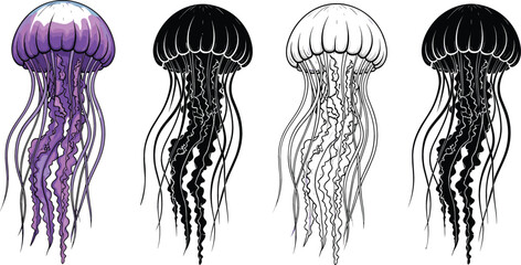 Detailed jellyfish illustrations in multiple styles including color silhouette and line art for marine life and ocean biology designs © Bappi